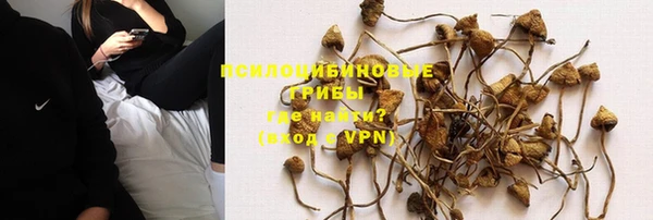 прущий лед Пестово
