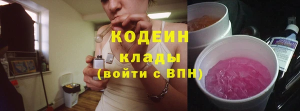 прущий лед Пестово