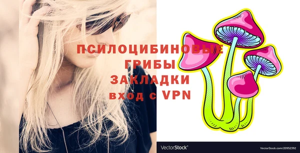 прущий лед Пестово