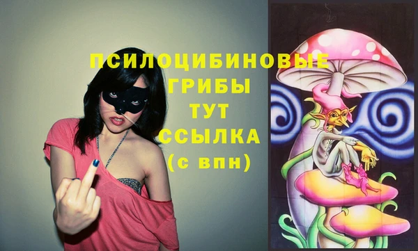 герыч Пересвет