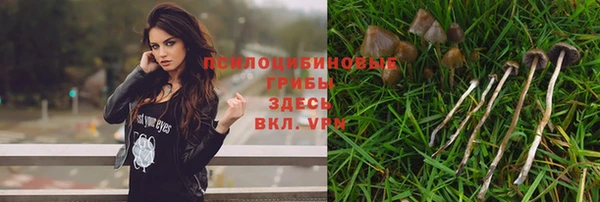 герыч Переславль-Залесский
