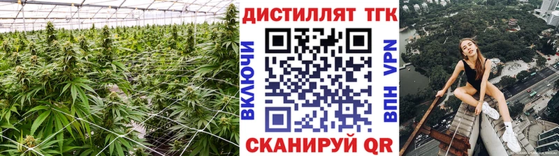Дистиллят ТГК гашишное масло  hydra маркетплейс  Сафоново  купить  