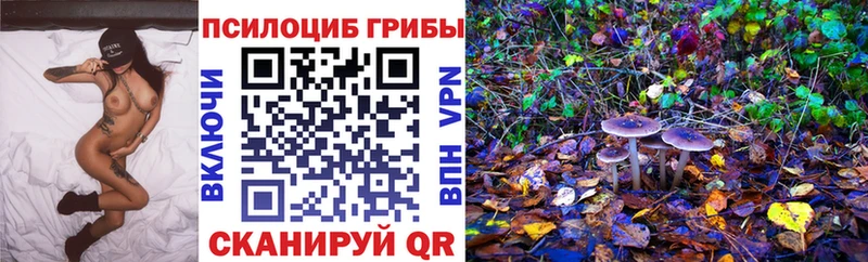 kraken как войти Сафоново Галлюциногенные грибы MAGIC MUSHROOMS