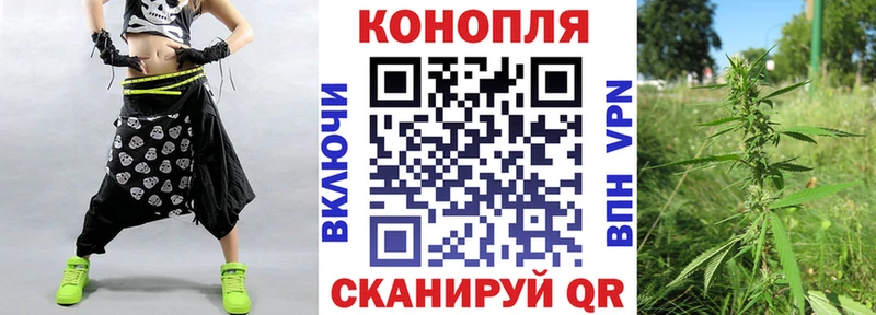 закладки  Сафоново  Марихуана семена 